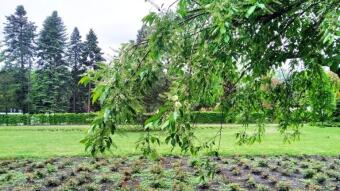 Saturday cold, windy and rainy - My Actifit Report Card: May 16, 2026