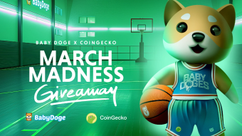 Baby Doge prize draw now open on CoinGecko