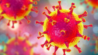 W.H.O Website - Coronavirus