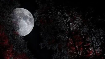 Here’s a scary story to read before going to sleep. Goodnight!