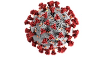 Covid-19 was the cause of death in 6% of deaths