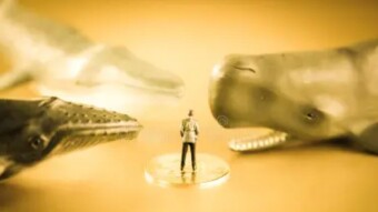 Whales and sharks suspected of knowing about the Grayscale news in advance