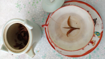 Water is the mother of tea