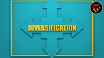 Diversification within Diversification
