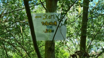 Lockdown fun : creating a Pokemon Trail !