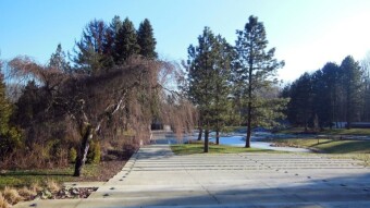 Theoretically it's winter, but in terms of temperature it's spring