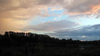 Some sun, some rain, kilometers normal - My Actifit Report Card: August 21 2024