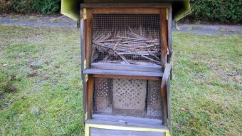 Today, a quiet walk and a search for answers and an insect hotel - My Actifit Report Card: November 28 2022