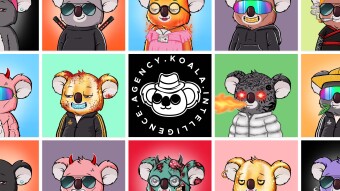 NFT Spotlight: Koala Intelligence Agency & The Power of Community