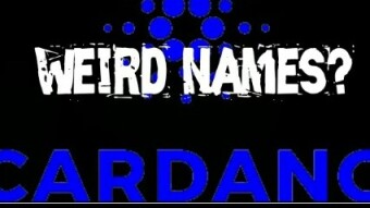 (IJCH) The Weird Names In The Cardano Project - What's Up With That? (Cool Anectdotes)