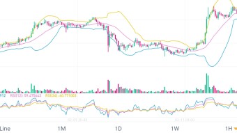 The rise of the privacy coin.