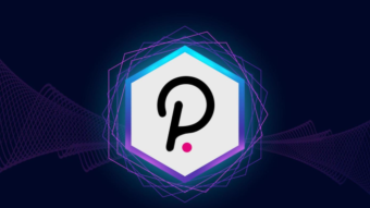 What is the Future for Polkadot?