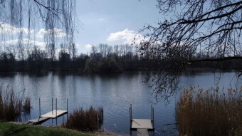 Beautiful, sunny weather from the morning - spring has returned - My Actifit Report Card: March 16, 2025