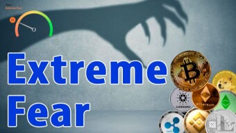 Extreme Fear in the Market!