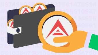 Why Choose Ark Wallet?