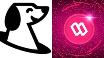 Crypto I should've left alone vs crypto I'm glad I didn't (leave alone)