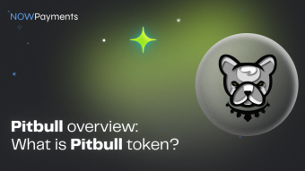 Pitbull Cryptocurrency: a Full Overview