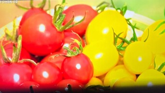 Tomatoes from Yatsushiro