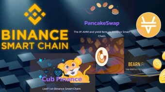 The Top DeFi Yield Farming Protocols On Binance Smart Chain