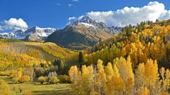 Hello Autumn