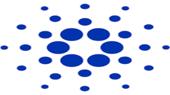 Cardano Plans for ERC20 Converter