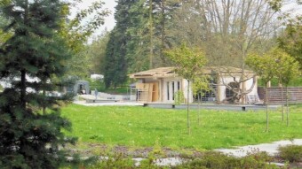What are they building in the park in the "Japanese Garden"? - My Actifit Report Card: April 18 2024