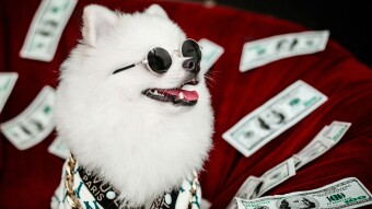 Lending Money: A Friendship Test or a Ticket to Nowhere?