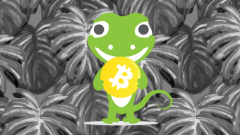 Collecting Coingecko candies?