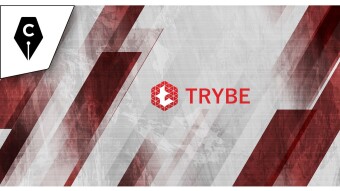 Is It Time to Join Trybe and Become Part of the Gang?