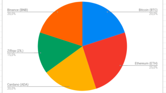 Diversifier or Maximalist: What is your portfolio game?