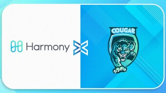 CougarSwap standardizes the diversification on Harmony network.