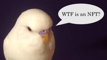 A Novice's Experience with NFTs