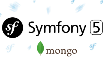 Symfony 5 php mongo odm array field