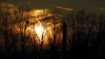 A beautiful autumn day, lots of optimism and sunshine - My Actifit Report Card: November 27, 2024