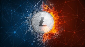 Litecoin-LTC, Basic information. |2020|