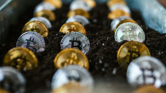 Crypto Currency  Investors - Separating Short-Term from Long-Term Investors