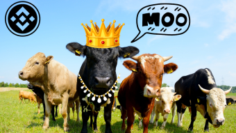 #BinanceFARMer - Mainstream Decentralized Finance