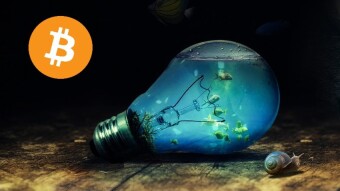 Why The Price Of BTC Is Currently So Stagnant
