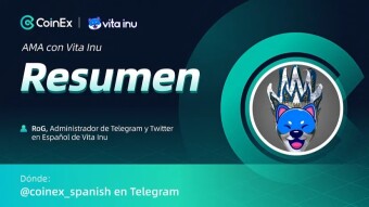 Resumen del AMA con Vita Inu