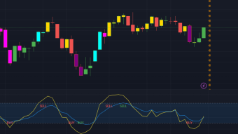 Market Weekly Insider: Start to BUY all the pull backs now!? Why? ~Optimize Your Wealth~