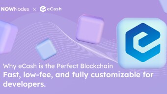 Why eCash is the Perfect Blockchain Platform for Developers