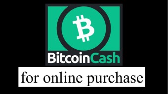 I purchased hosting and a domain name using BitcoinCash