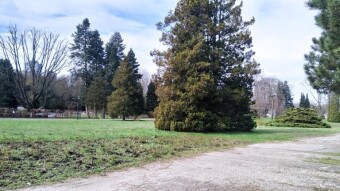 A warm pre-Christmas Saturday, only that icy wind... - My Actifit Report Card: April 4, 2026