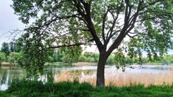 Warm but stormy Thursday - My Actifit Report Card: May 7, 2026