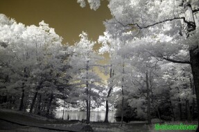 Infrared Photography - Fishing on the lake in the morning