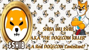 Shiba Inu (SHIB), Nicknamed The DOGECOIN KILLER, A Real DOGECOIN Contestant?