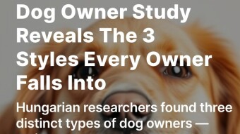 Dog Owner Study Reveals The 3 Styles Every Owner Falls Into