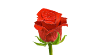 Making that valentines day post