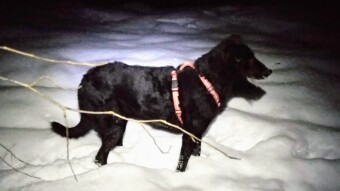 slippery at night