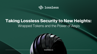 Taking Lossless Security to New Heights: Wrapped Tokens and the Power of Aegis